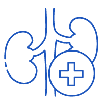 endocrinology